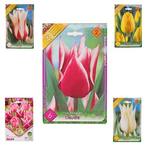 Tulipán mix - Umelé kvety