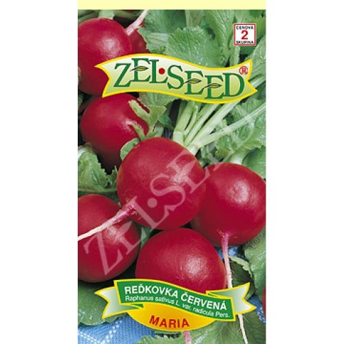 Reďkovka červ. maria 5,0g - Vianočné dekorácie a ozdoby