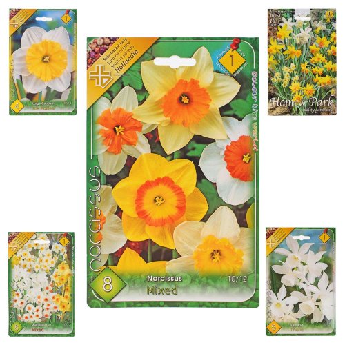 Narcis mix farba - Umelé kvety