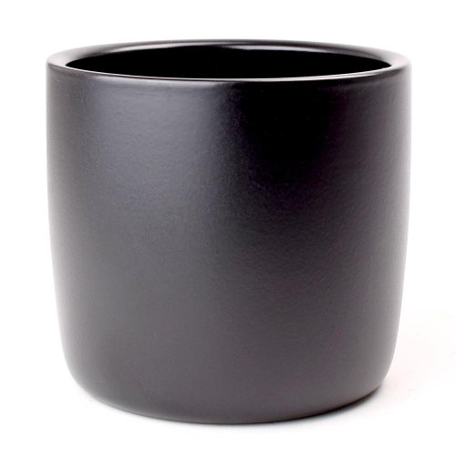 64658 obal ebano 900/24 - Vianočné stromčeky