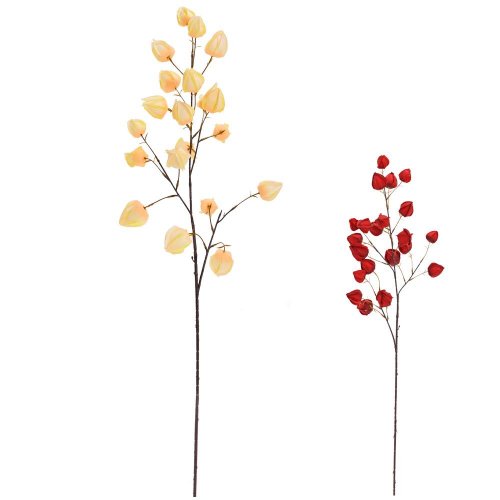 Konár physalis mix/2f 98cm - Umelé kvety