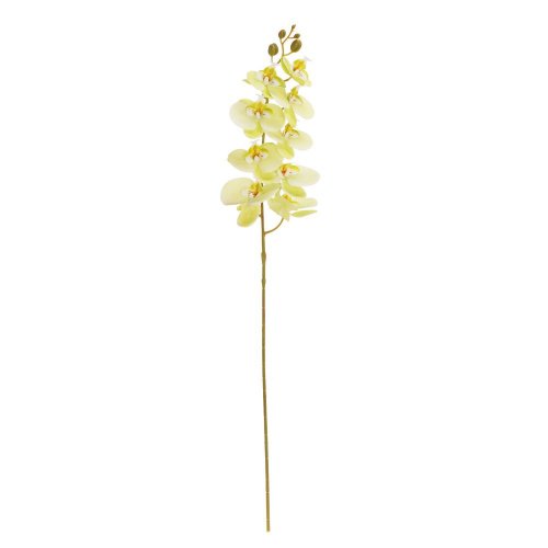 Ks orchidea phalaenopsis bledo zelená 95cm - Umelé kvety