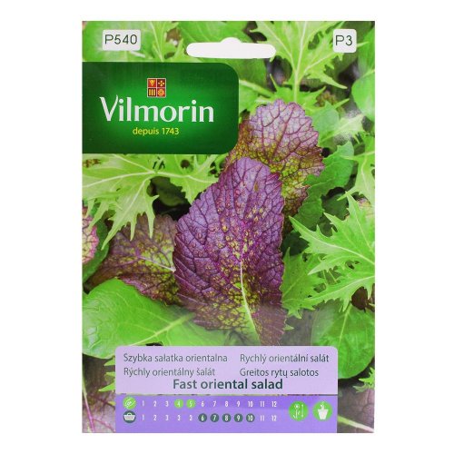 Rýchly orientálny šalát - Vianočné dekorácie a ozdoby