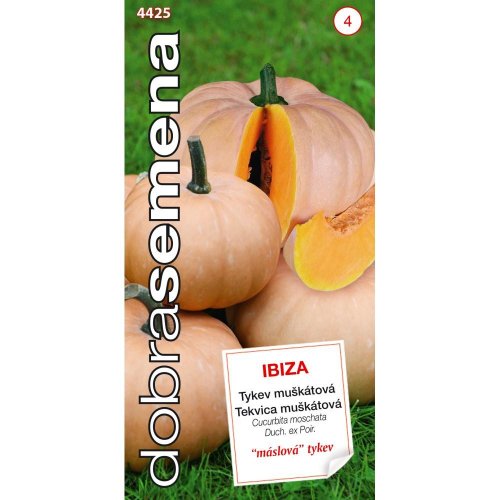 Tekvica muškátová ibiza 10s