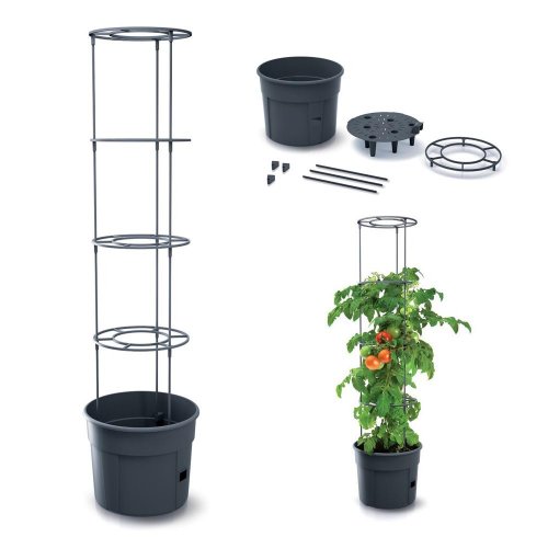 Ipom300 kvetináč na pestovanie rajčín antr.29,5xv115cm