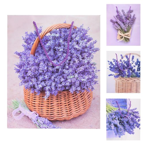 Darčeková taška m 32*26*12cm levanduľa