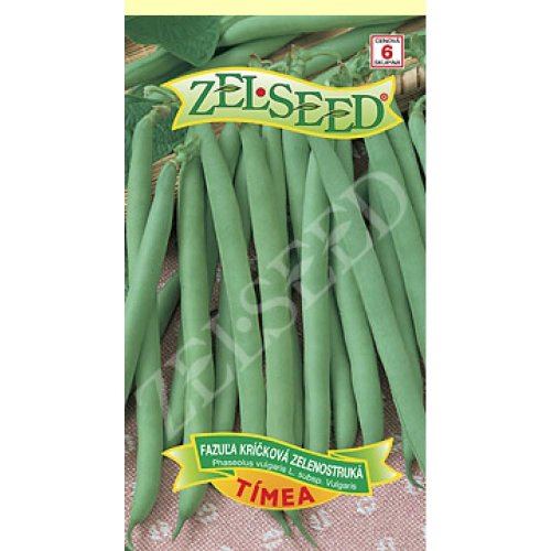 Fazuľa kríč.zel timea 38g - Vianočné stromčeky