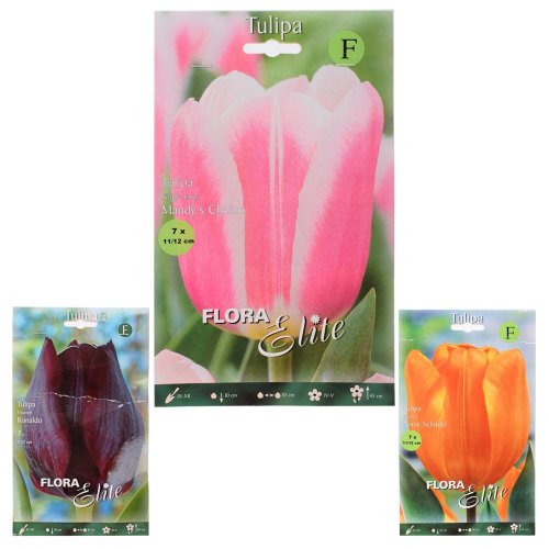 Tulipán exclusive - Umelé kvety