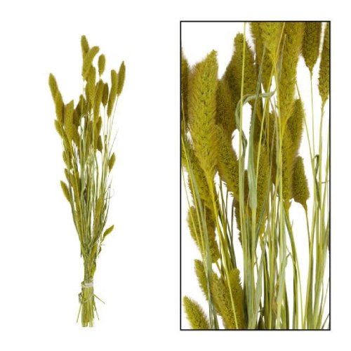 Setaria zväzok 66cm - Vianočné dekorácie