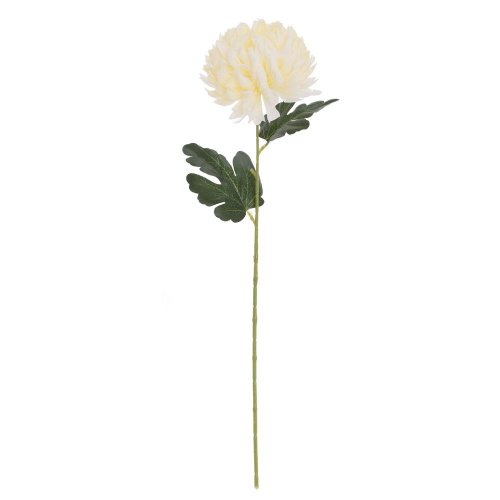 Ks chryzantéma krémová 57cm