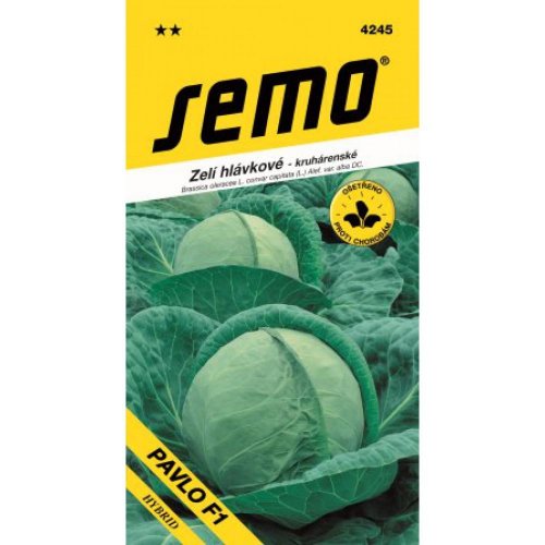 Kapusta nesk. pavlo f1 40s
