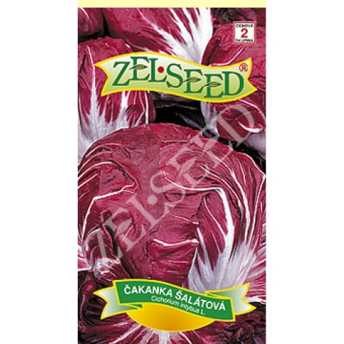 Čakanka šalátová palla rossa 1g