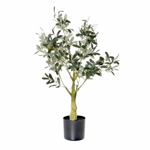 Olivovník v plast.kvetináči šed./zel. 75cm