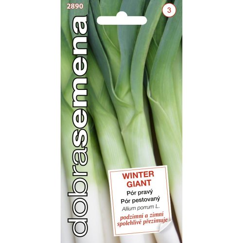 Pór zimný winter giant 1,5g