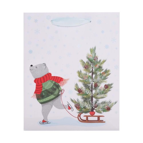 Agb2017603 taška darč.  v25x20+10cm skating bear