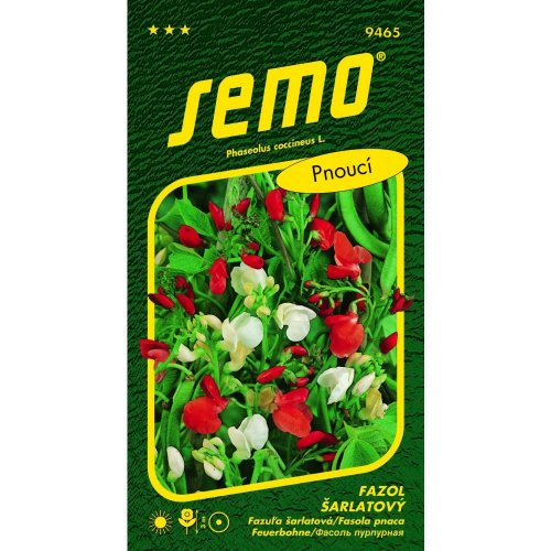 Fazuľa šarlátová červenobiela 10g