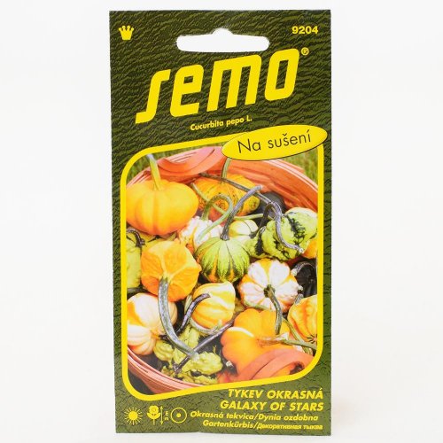 Tekvica okr.galaxy of stars f1 12s