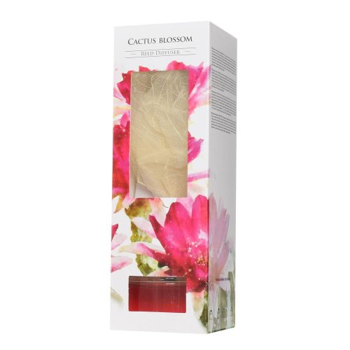 Difuzér kvet kaktusu./dz501-361/