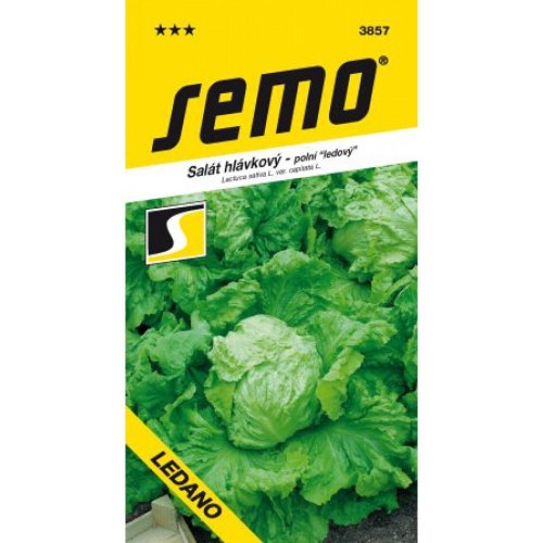 Šalát ľadový ledano 0,8g