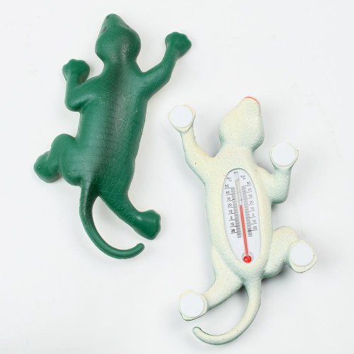 Teplomer jašterica vonkajší 9 x 16 cm * 5816