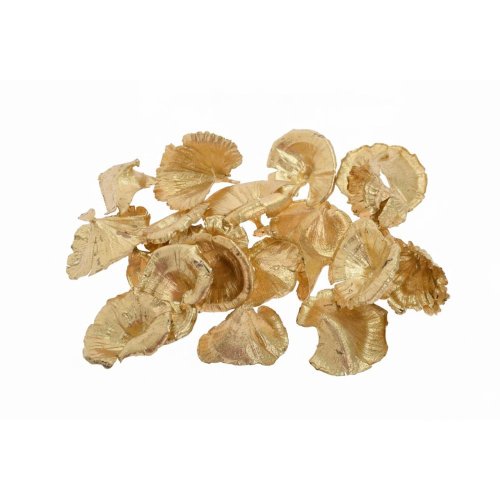 Golden mushroom gold s/20ks/5-7cm