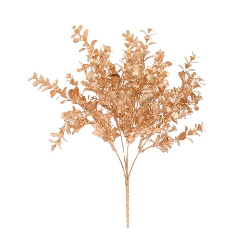 Zeleň buxus zlatá 35cm