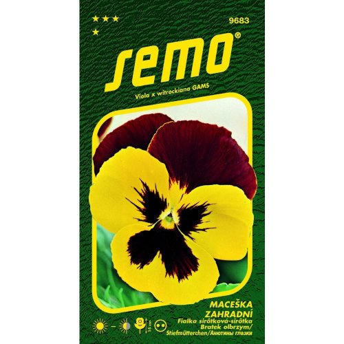 Sirôtka veľkokvetá mistral s1 žlto červená 35s