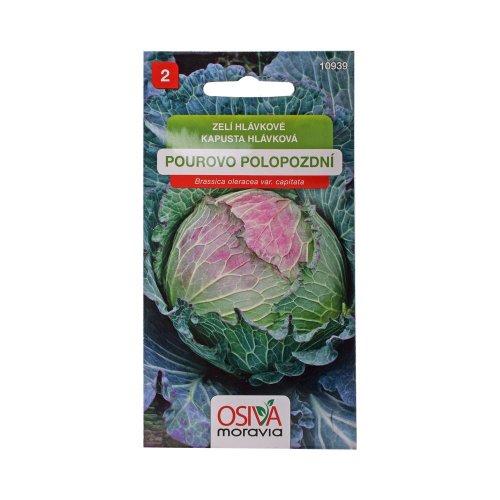 Kapusta polonesk. pourovo 0,8g - Vianočné dekorácie