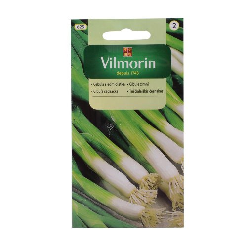 Cibuľa zimná bajkal 2g