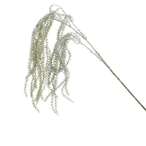 Konár drôtovec sivo-zelený 70 cm