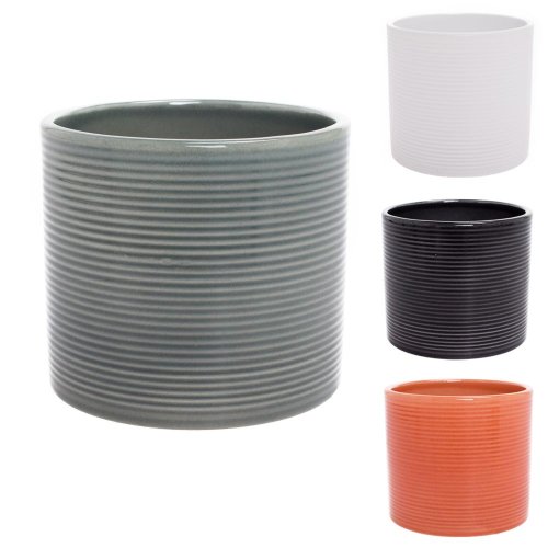 68498 obal kaktus 828/07