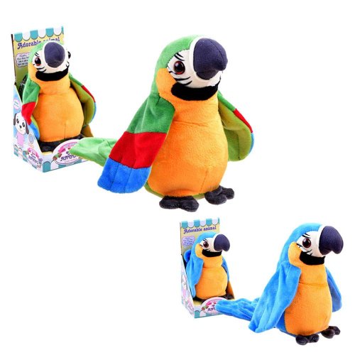 Papagáj rozpráva opakuje slová