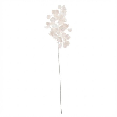 Konár peniažky biela perleť 70cm