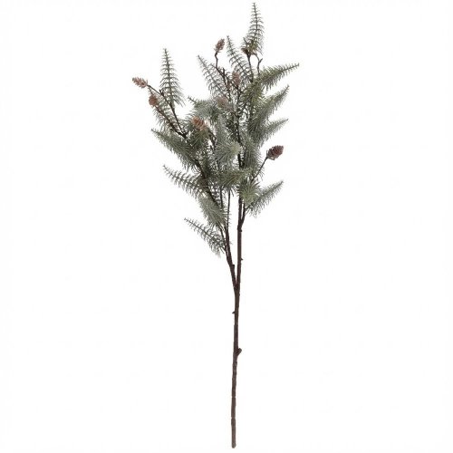 Konár čečina-stromčeky,šišky 80 cm