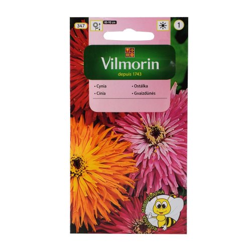 Cínia chryzantémovitá mix 1g
