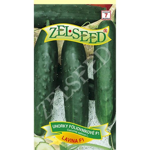 Uhorky šal.lavina f1 10s