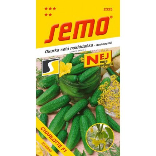 Uhorka nakl charlotte f1 1,5g