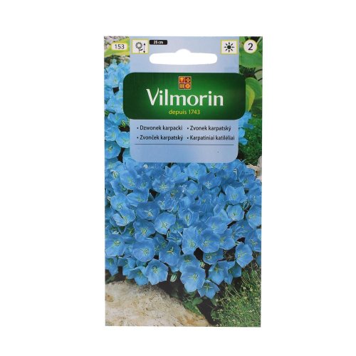 Zvonček karpatský modrý