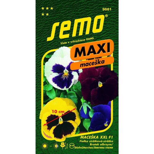 Sirôtka veľkokvetá xxl 15s