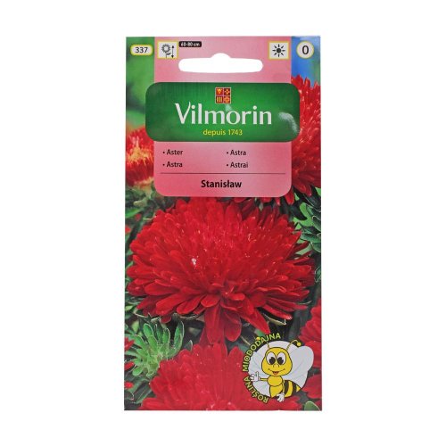 Astra čín.pivon. stanislaw 0,5g - Umelé kvety