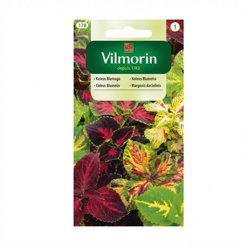 Koleus 0,2g - Umelé kvety