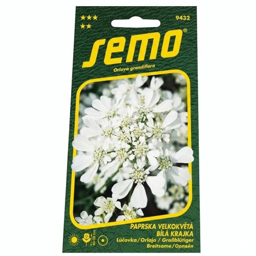 Lúčovka biela krajka 1g