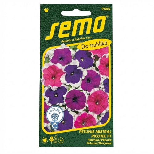 Petunia veľkokv mistral picotee f1 50p - Vianočné dekorácie a ozdoby