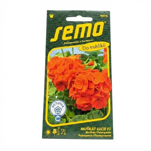 Muškát krúžk.lucie f1 11s