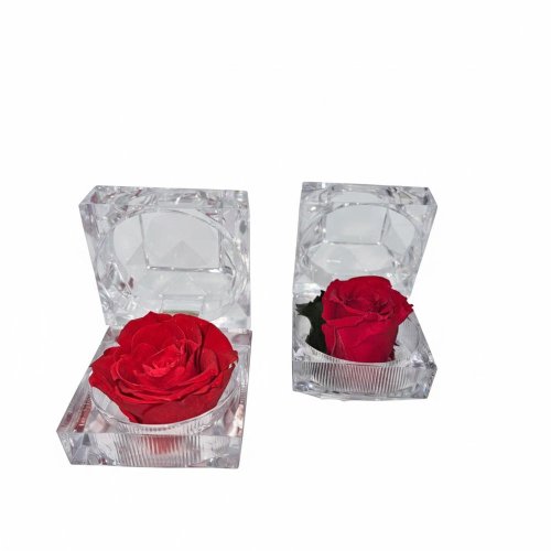 Ruža preparovaná v krabičke červená/ks