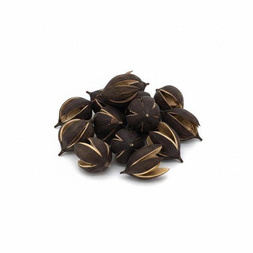 3824 lily 3-6cm natur small 24ks