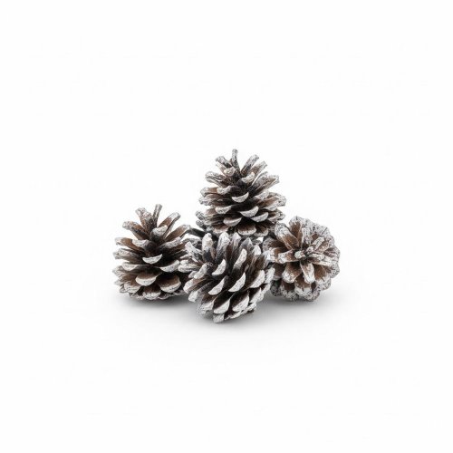 1014 šiška sosna 5-7cm bielená 6ks