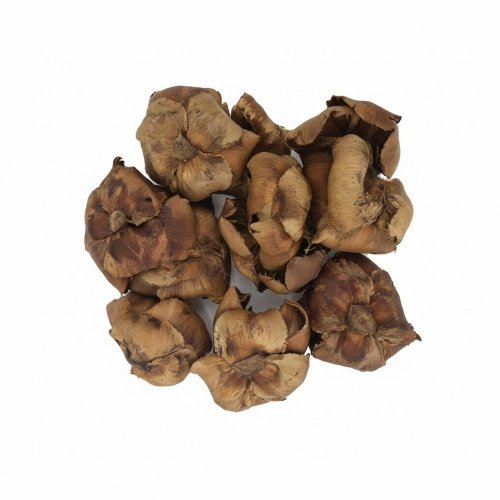 3472 palm cap nat 9-12cm 12ks