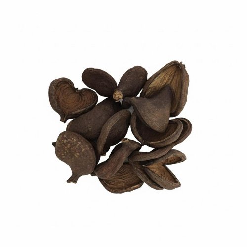 3396 badam 10-13cm natur 12ks