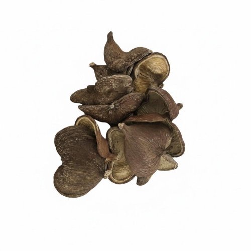 3397 badam bielený 12ks